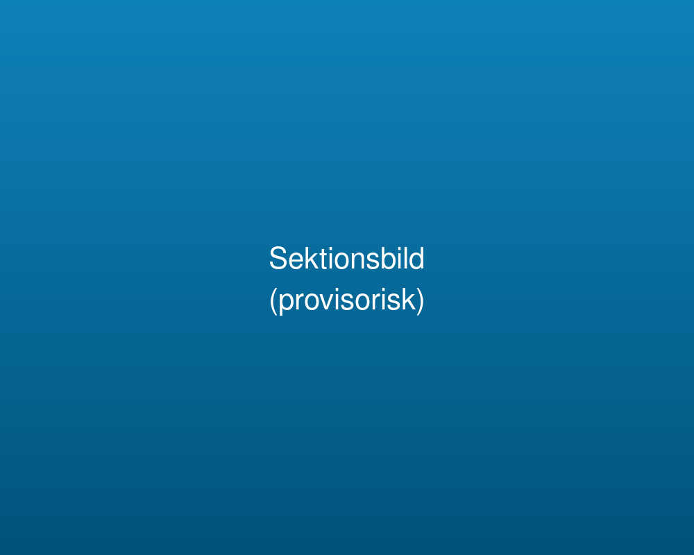 Mammaträning i grupp utomhus